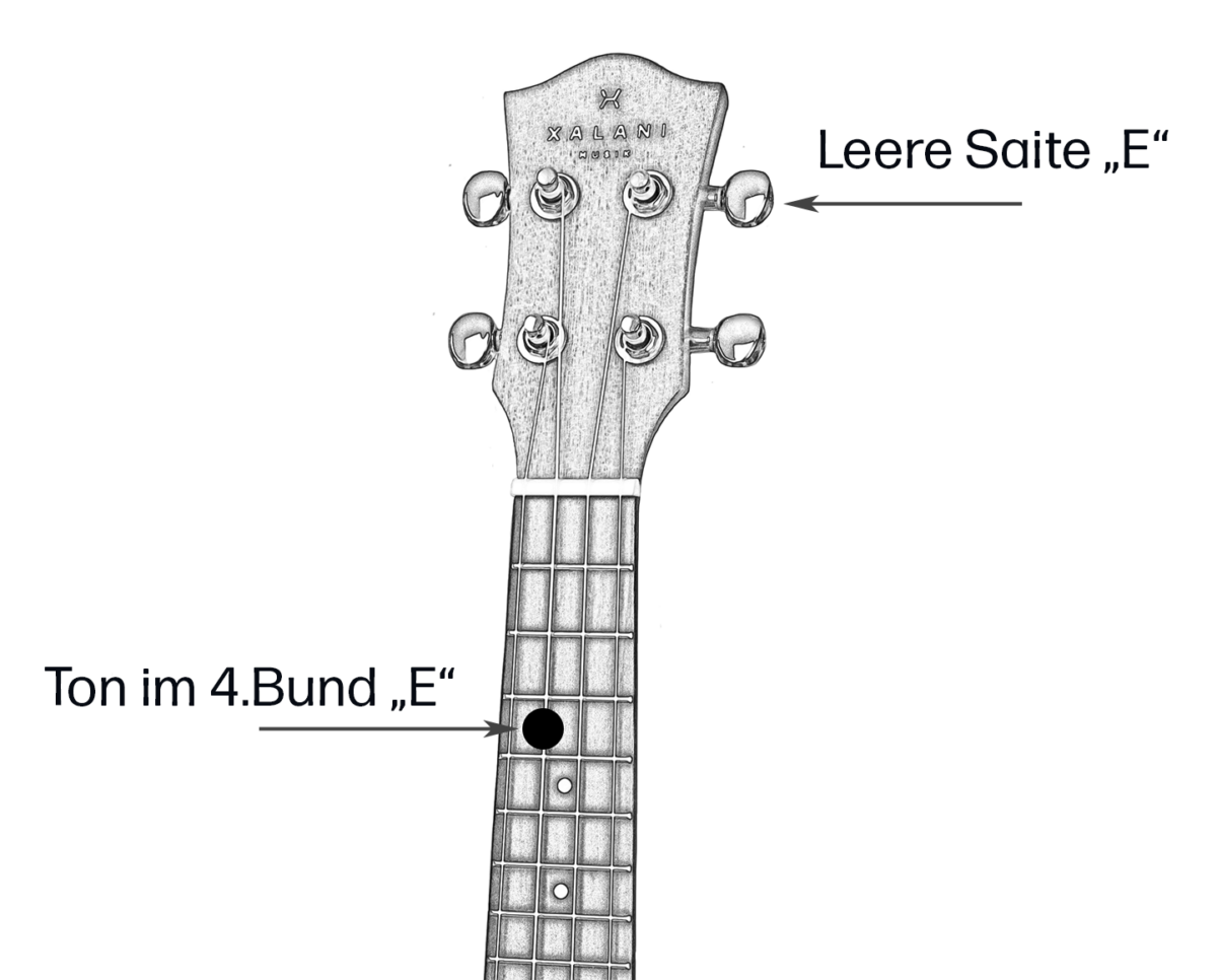Ukulele Stimmen: So einfach stimmst Du Deine Ukulele - xalani.de